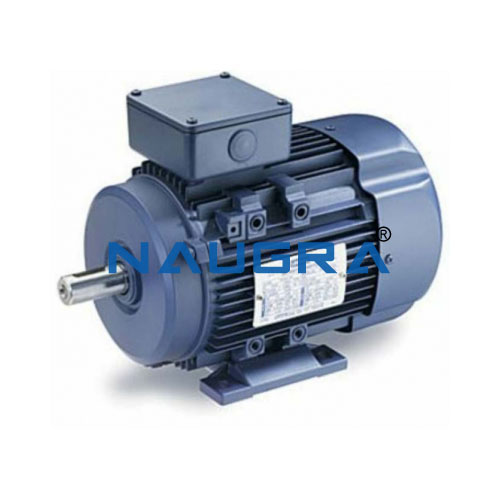 Three-phase motor Manufacturers India