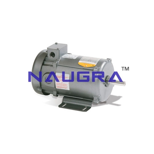 Training Model -AC And DC Motor Starter Demonstrator Manufacturers India