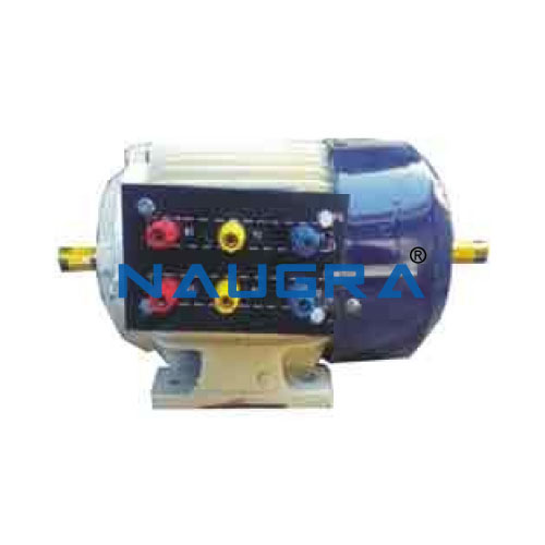 Three Phase Squirrel Cage Induction Motors Manufacturers India