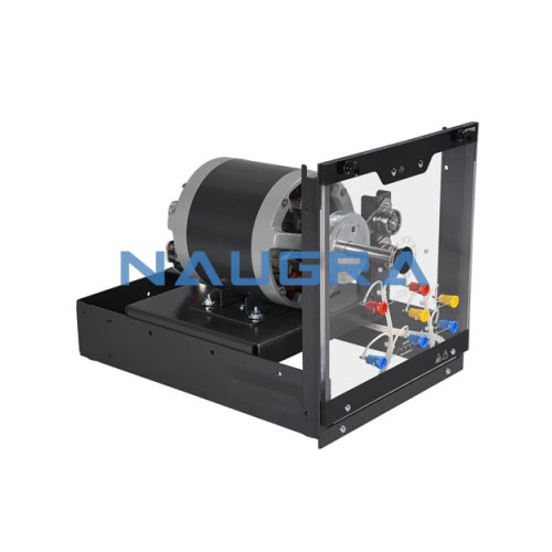 Squirrel Cage Induction Motor Manufacturers India